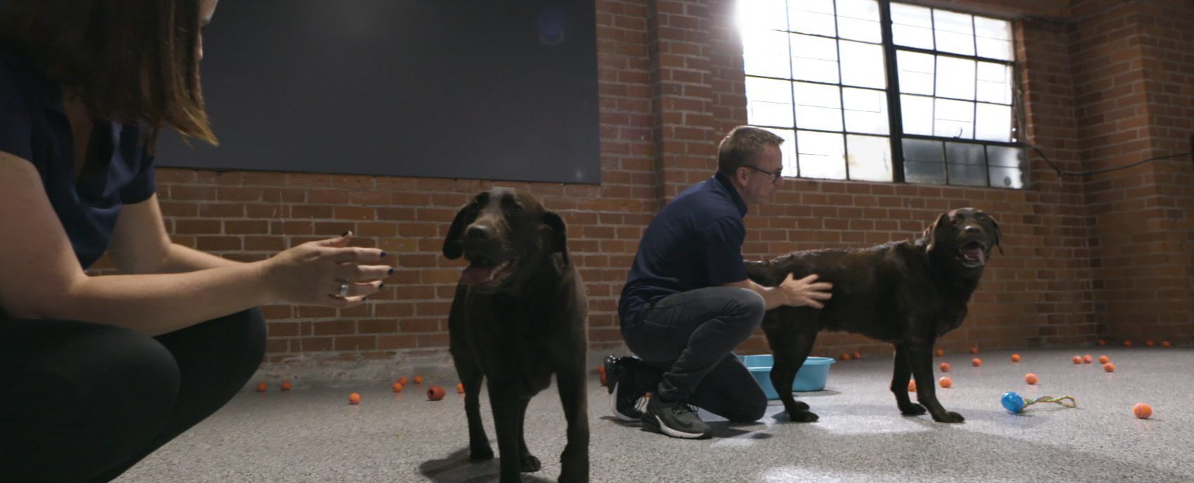 Pet Express