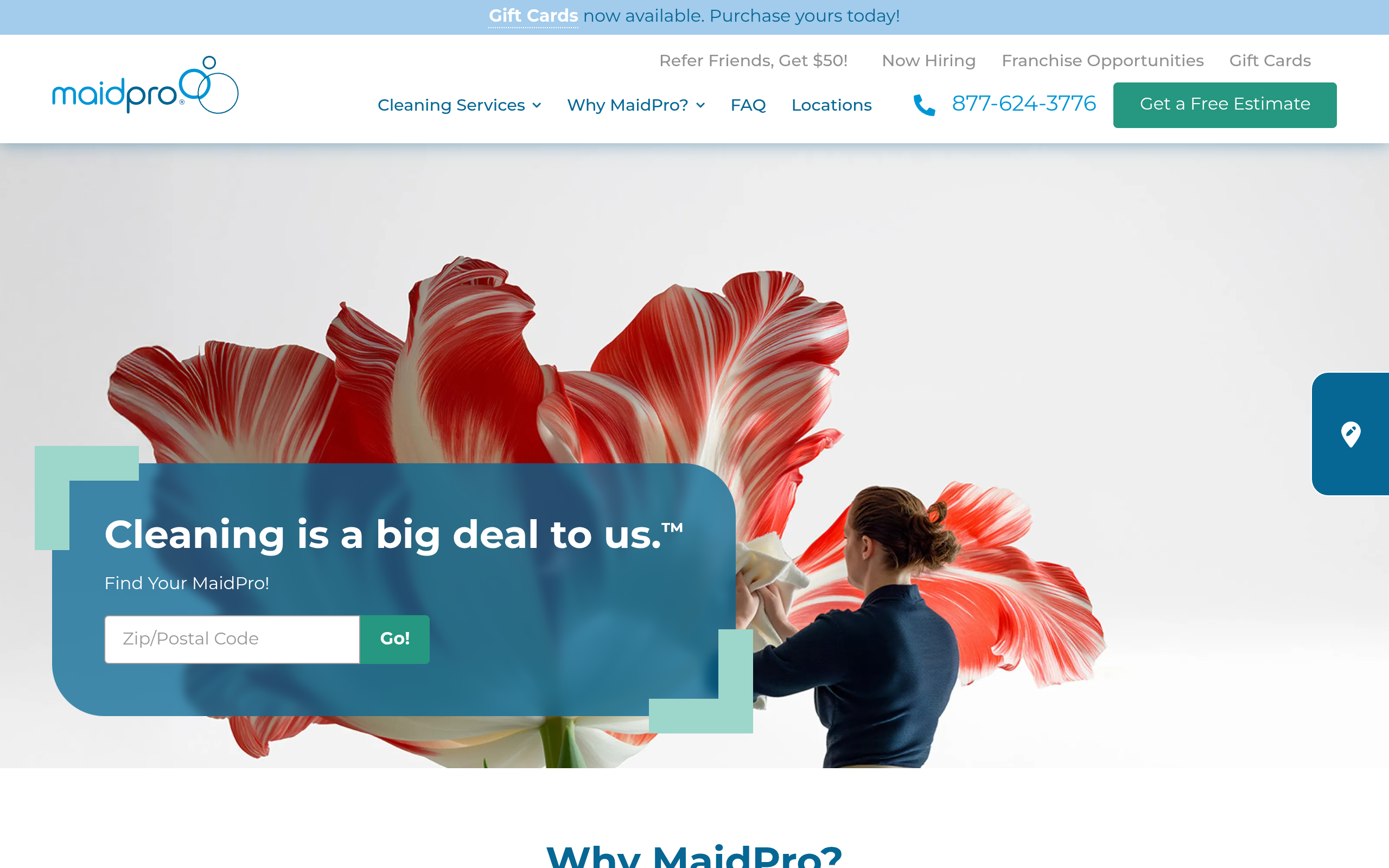 MaidPro